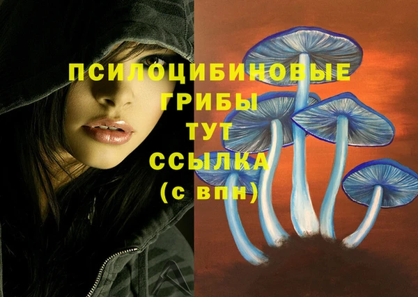 меф Новозыбков