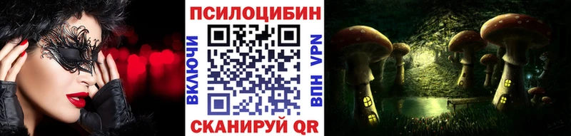 Галлюциногенные грибы Psilocybe  купить наркотик  Белоярский 